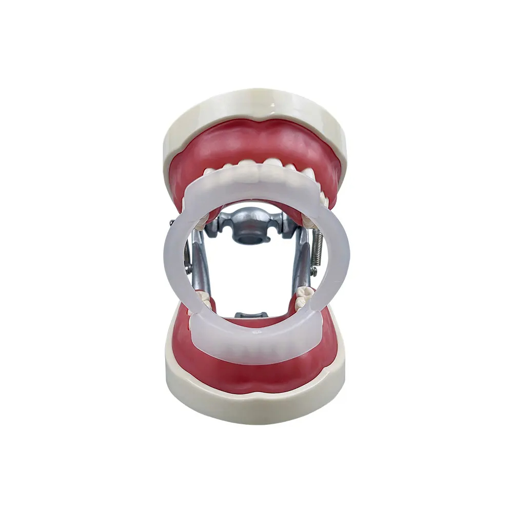 100pcs/bag Dental O-Shape Intr - Teeth Whitening With Braces ulasan dan harga